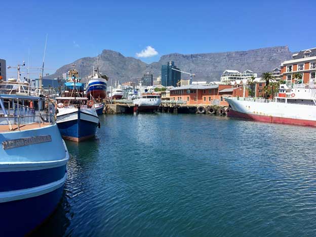 如果政府有辦法阻止與捕魚有關的死亡,為什麼不使用它們? – 國際問題 如果政府有辦法阻止與捕魚有關的死亡,為什麼不使用它們? – 國際問題