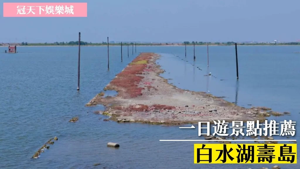 嘉義一日遊推薦