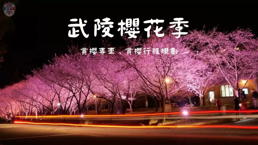 武陵農場櫻花季