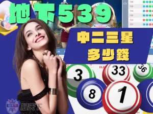 地下539中二三星多少錢、地下539中3碼、地下539算法