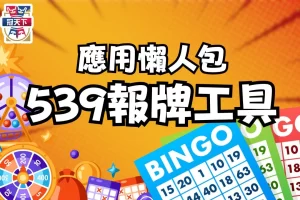 539報牌工具