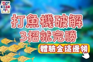 打魚機破解