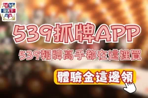 539抓牌APP